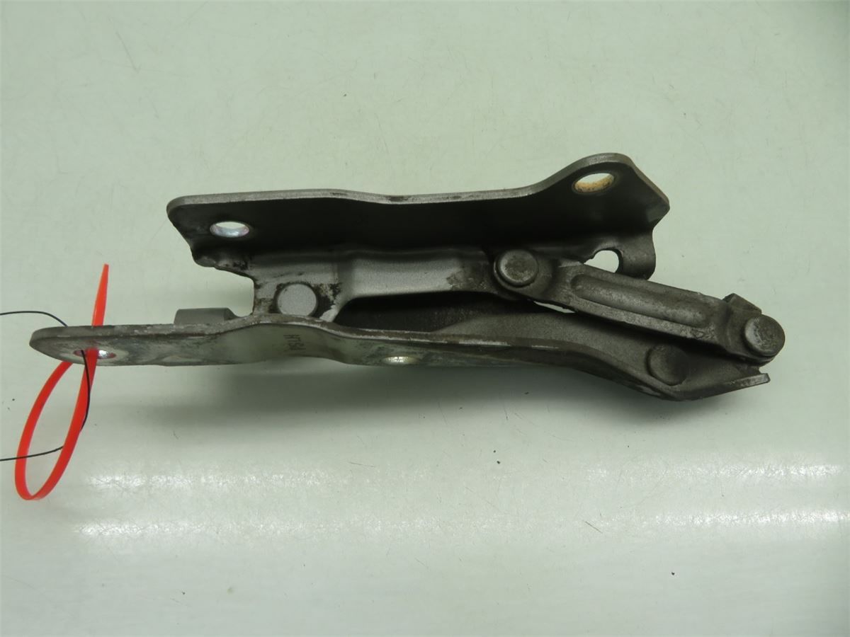 Panser Hengsel / Hengsler – bilde 3