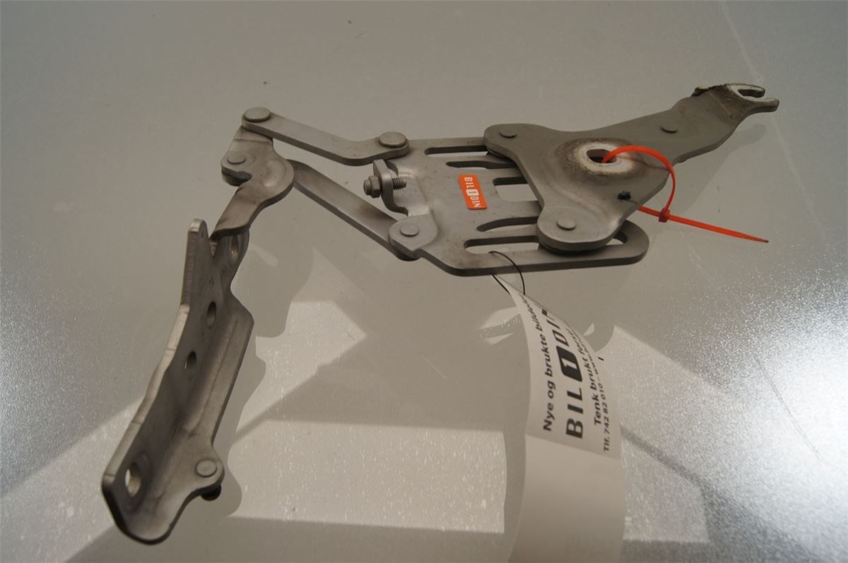 Panser Hengsel / Hengsler – bilde 1