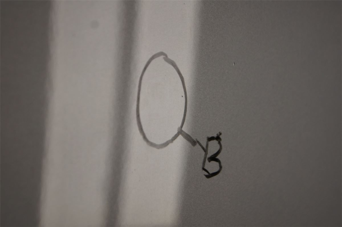 Panser – bilde 3