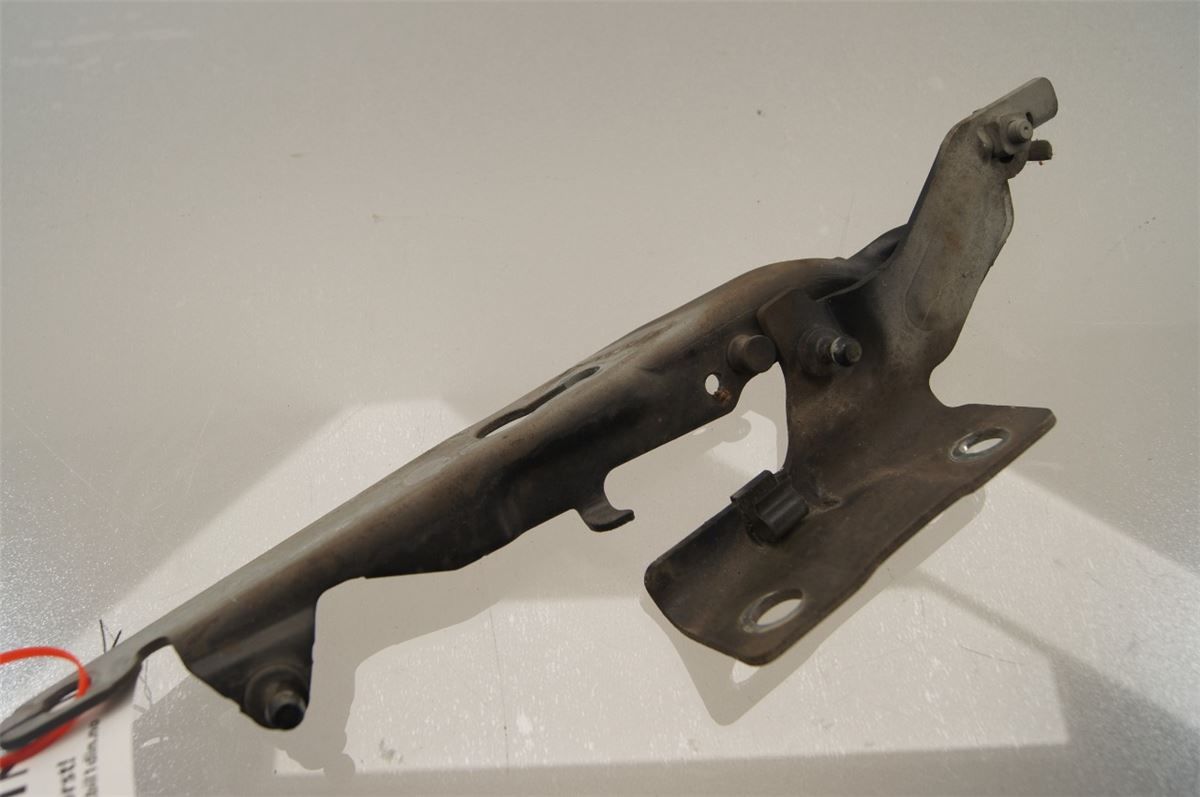 Panser Hengsel / Hengsler – bilde 2