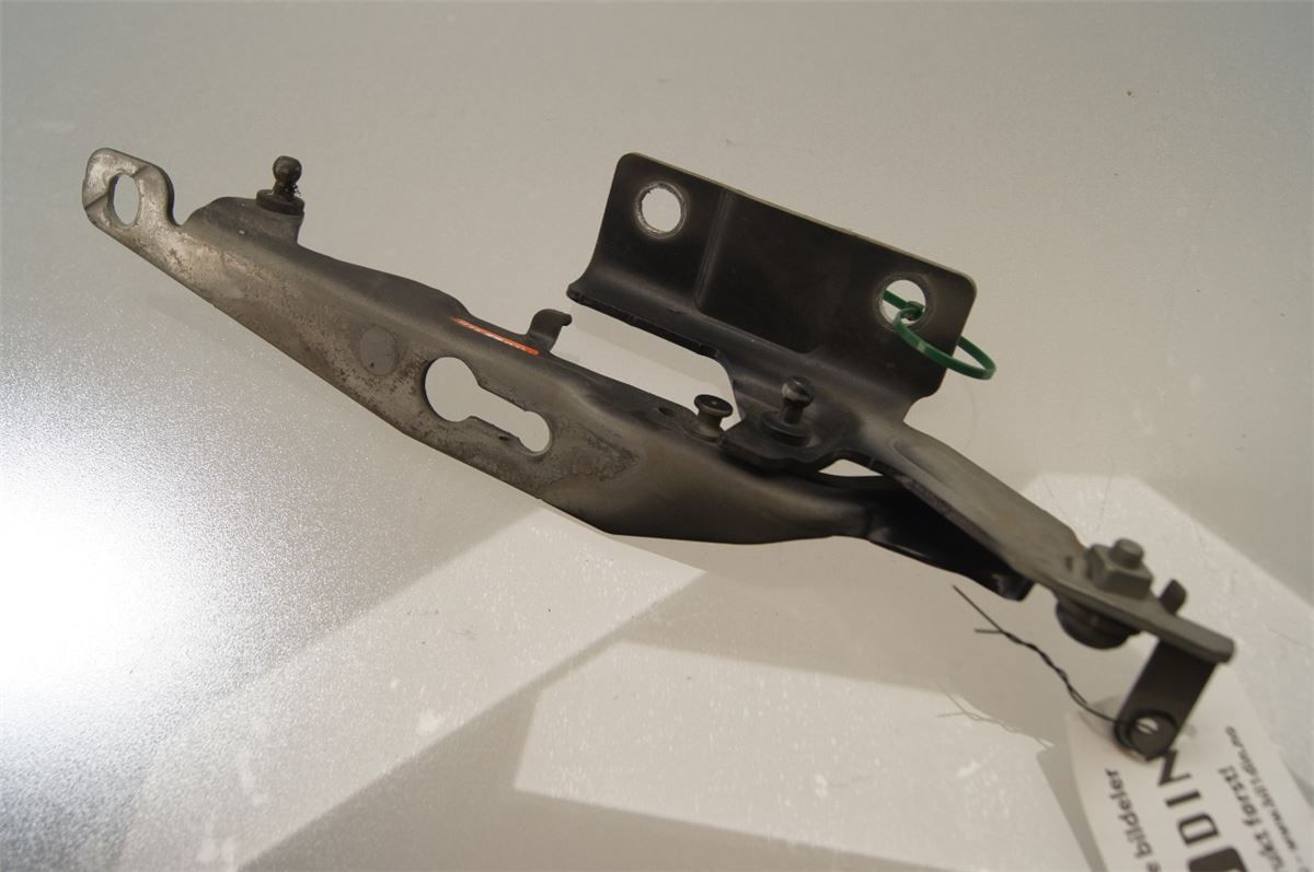 Panser Hengsel / Hengsler – bilde 1