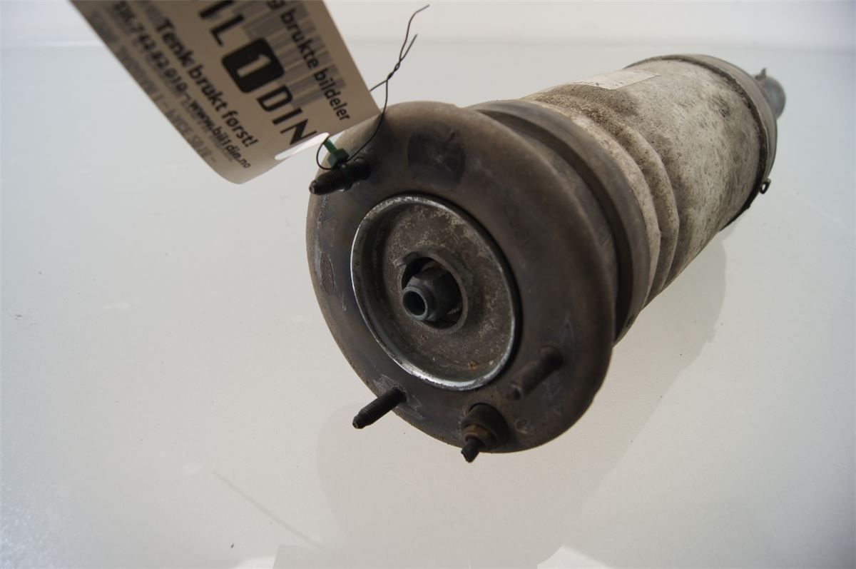 Fjærbein Foran Høyre – bilde 2