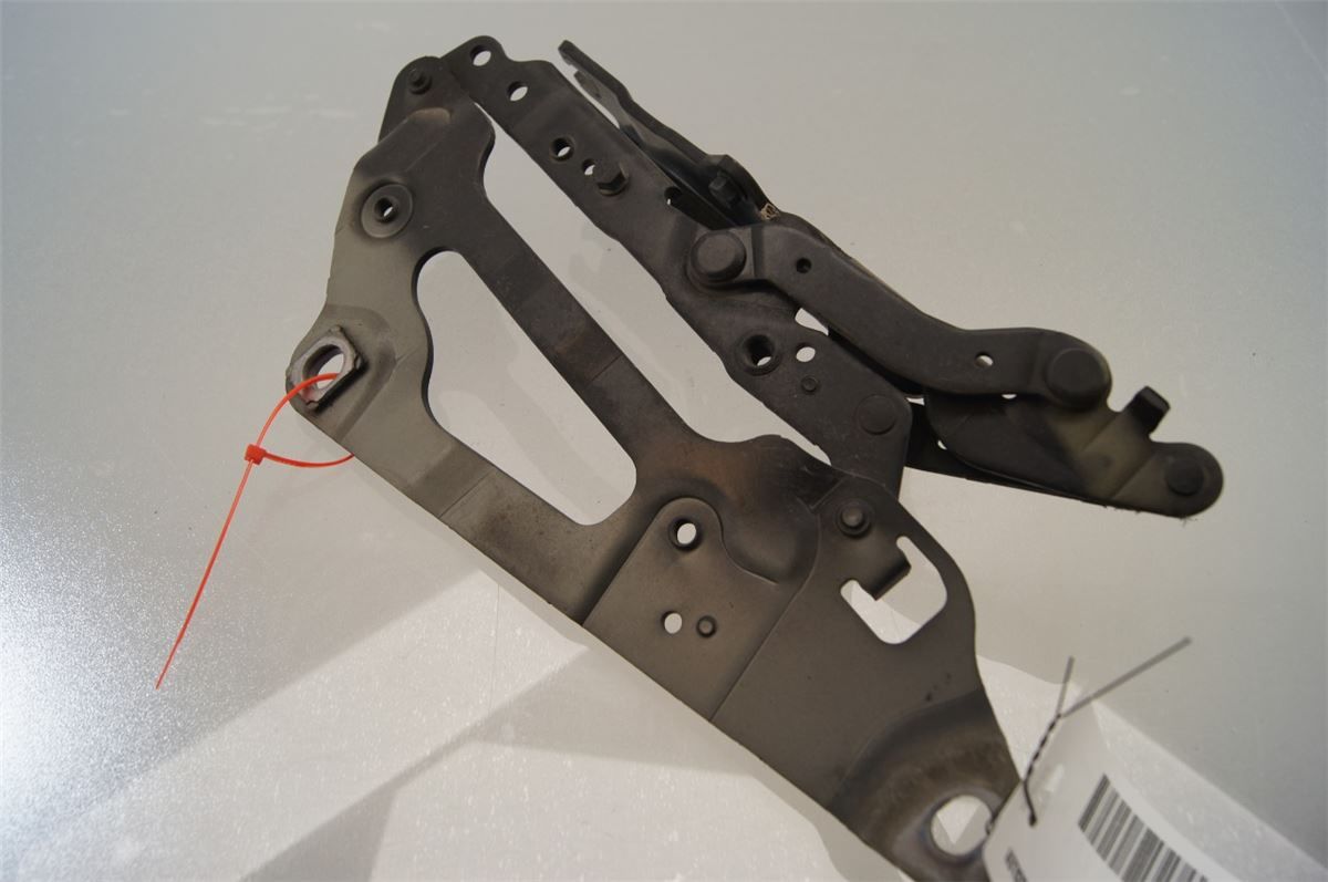 Panser Hengsel / Hengsler – bilde 1