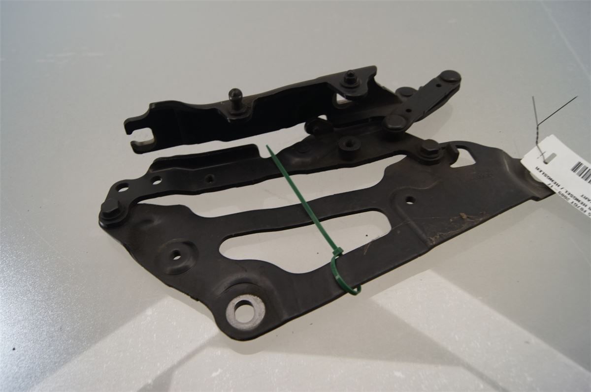 Panser Hengsel / Hengsler – bilde 2