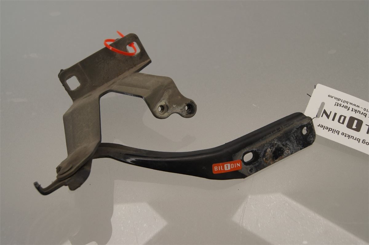 Panser Hengsel / Hengsler – bilde 1