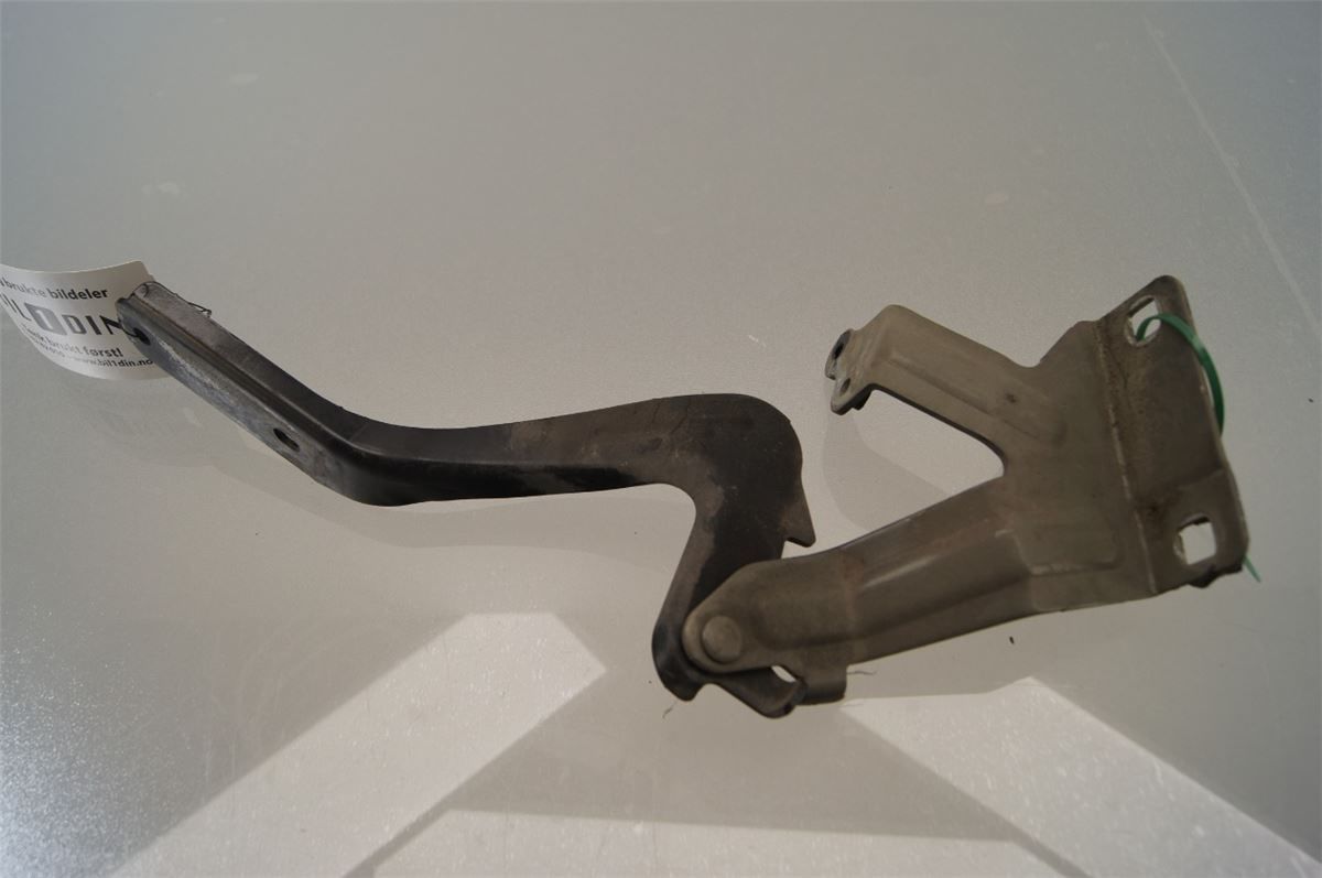 Panser Hengsel / Hengsler – bilde 2