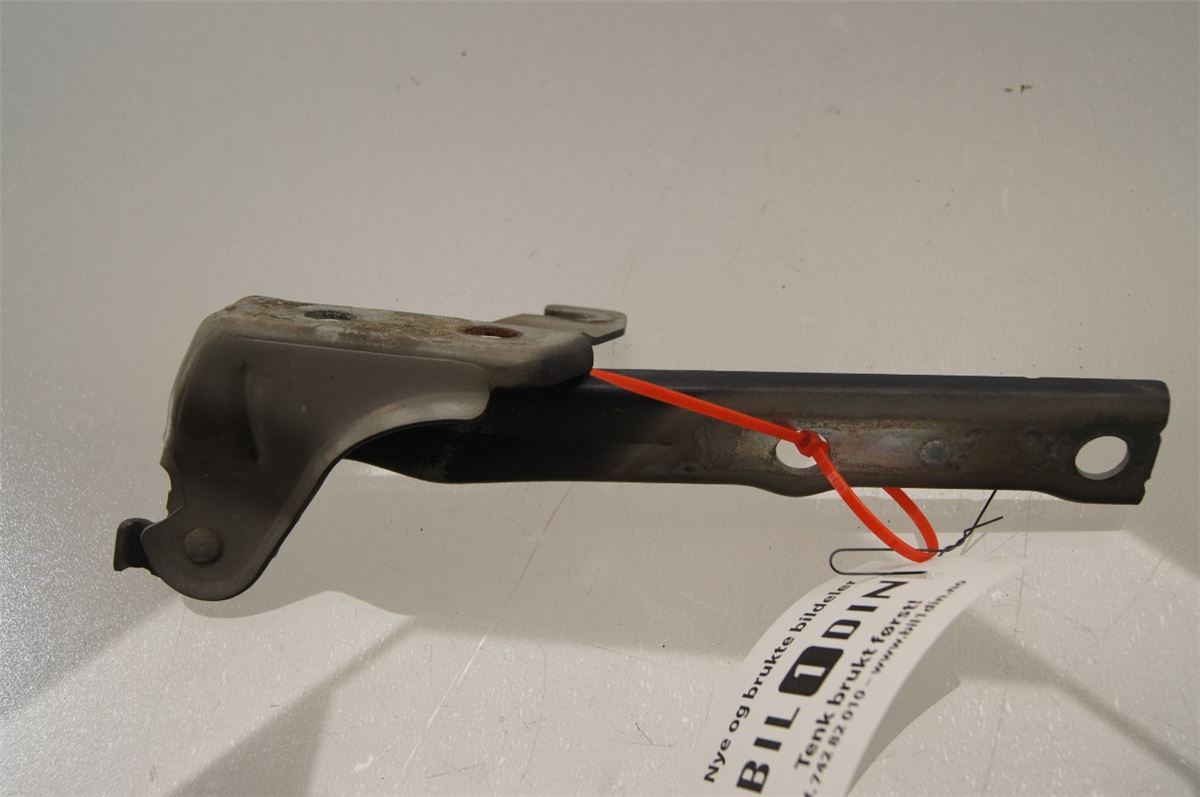 Panser Hengsel / Hengsler – bilde 1