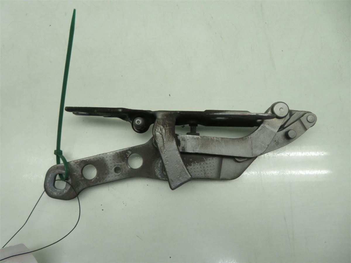 Panser Hengsel / Hengsler – bilde 1