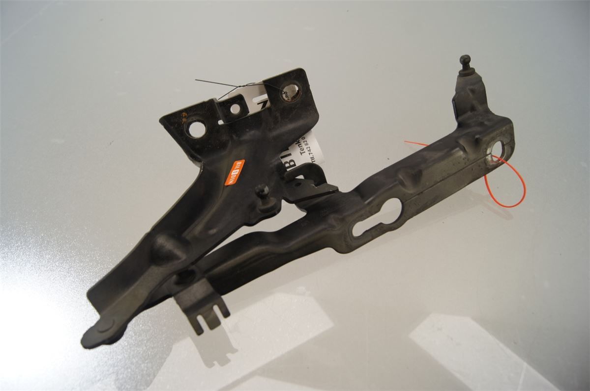 Panser Hengsel / Hengsler – bilde 1