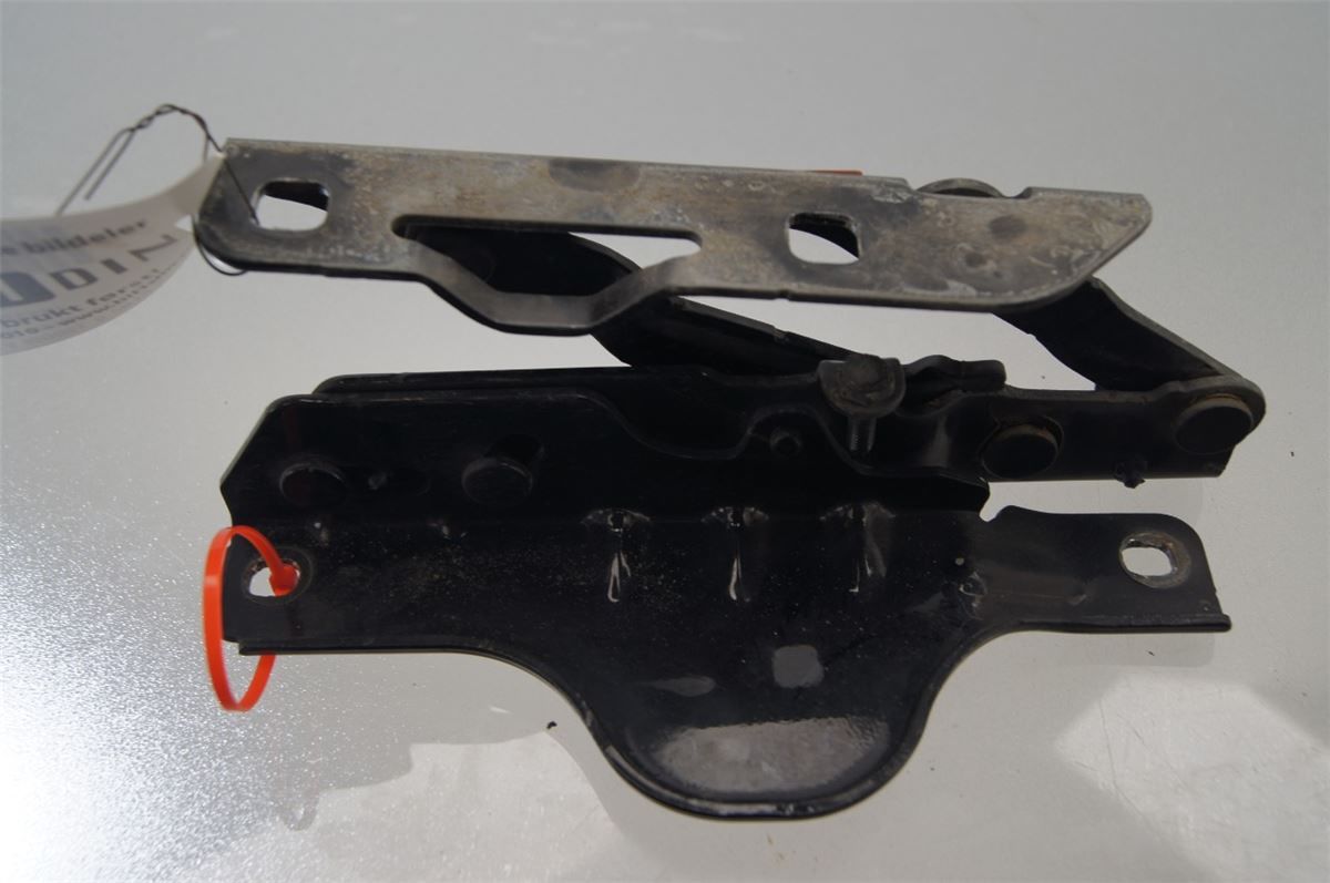 Panser Hengsel / Hengsler – bilde 1