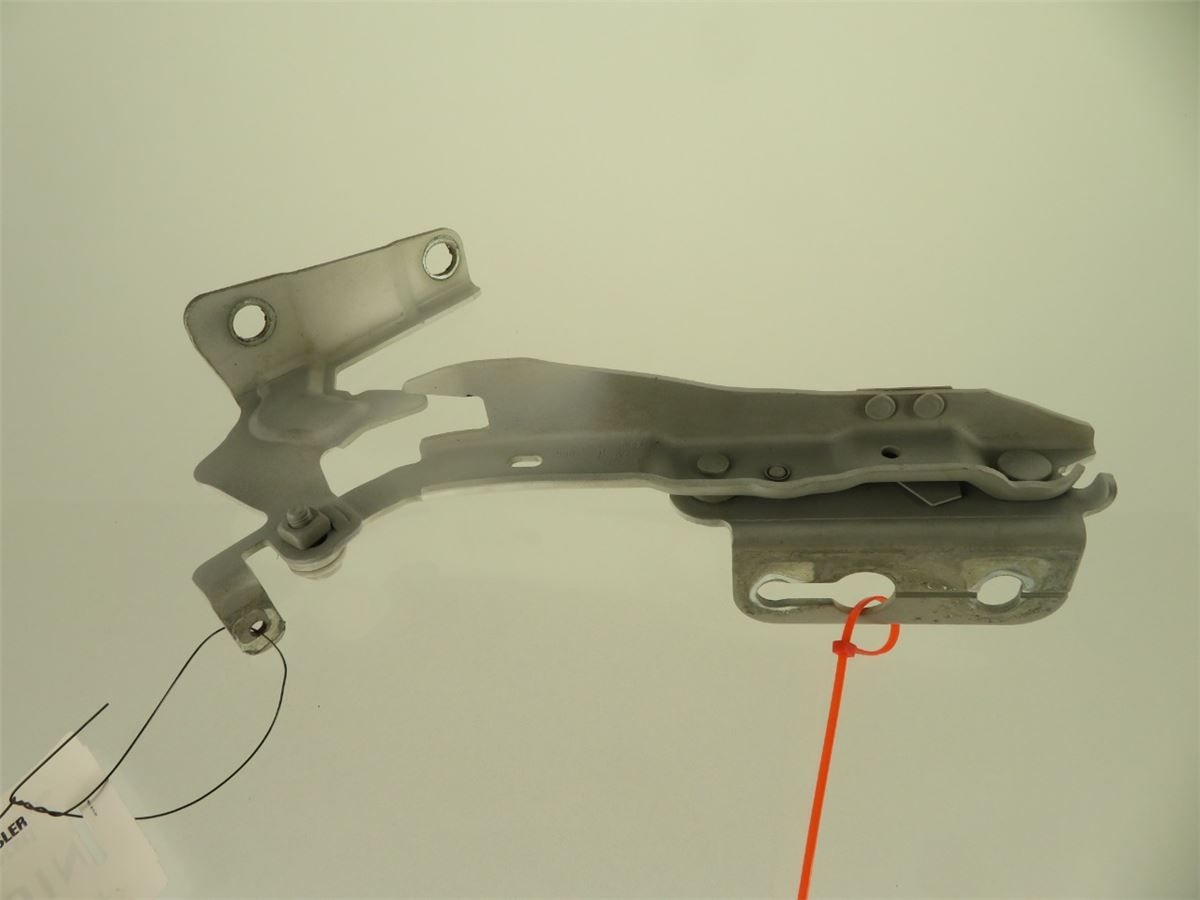Panser Hengsel / Hengsler – bilde 2