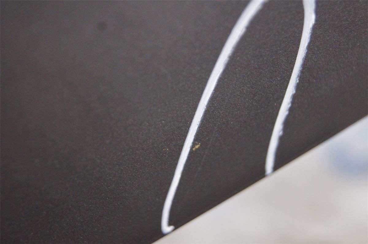 Panser – bilde 6