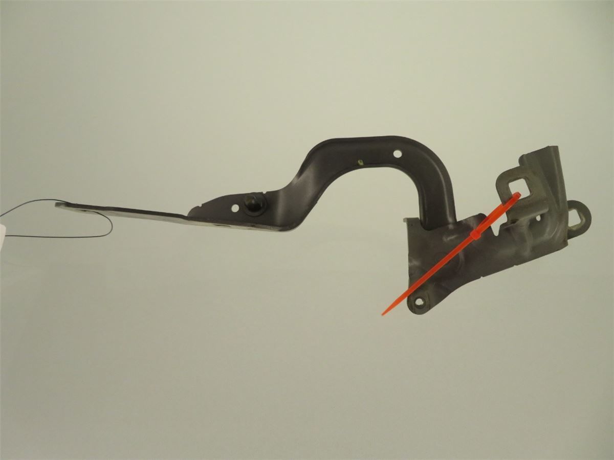 Panser Hengsel / Hengsler – bilde 2