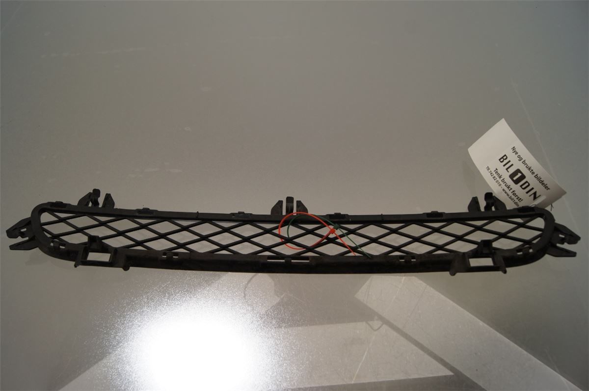 Grill / Gitter – bilde 1