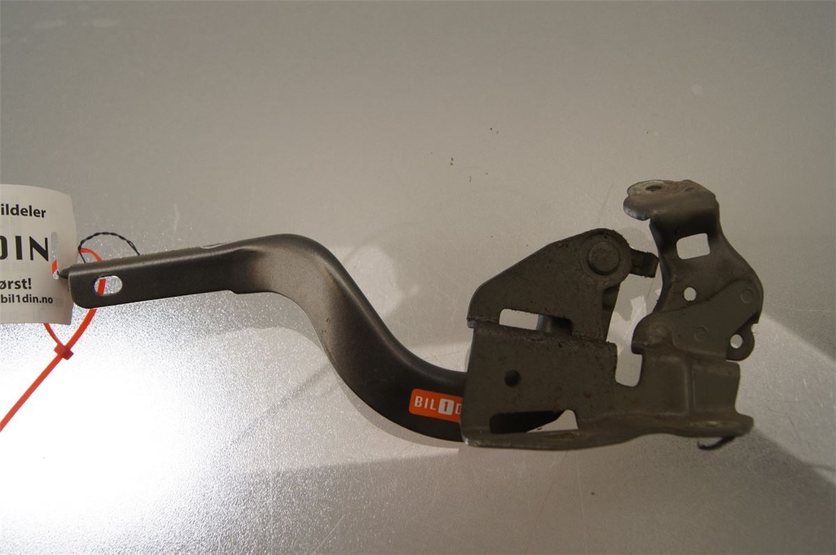 Panser Hengsel / Hengsler – bilde 1