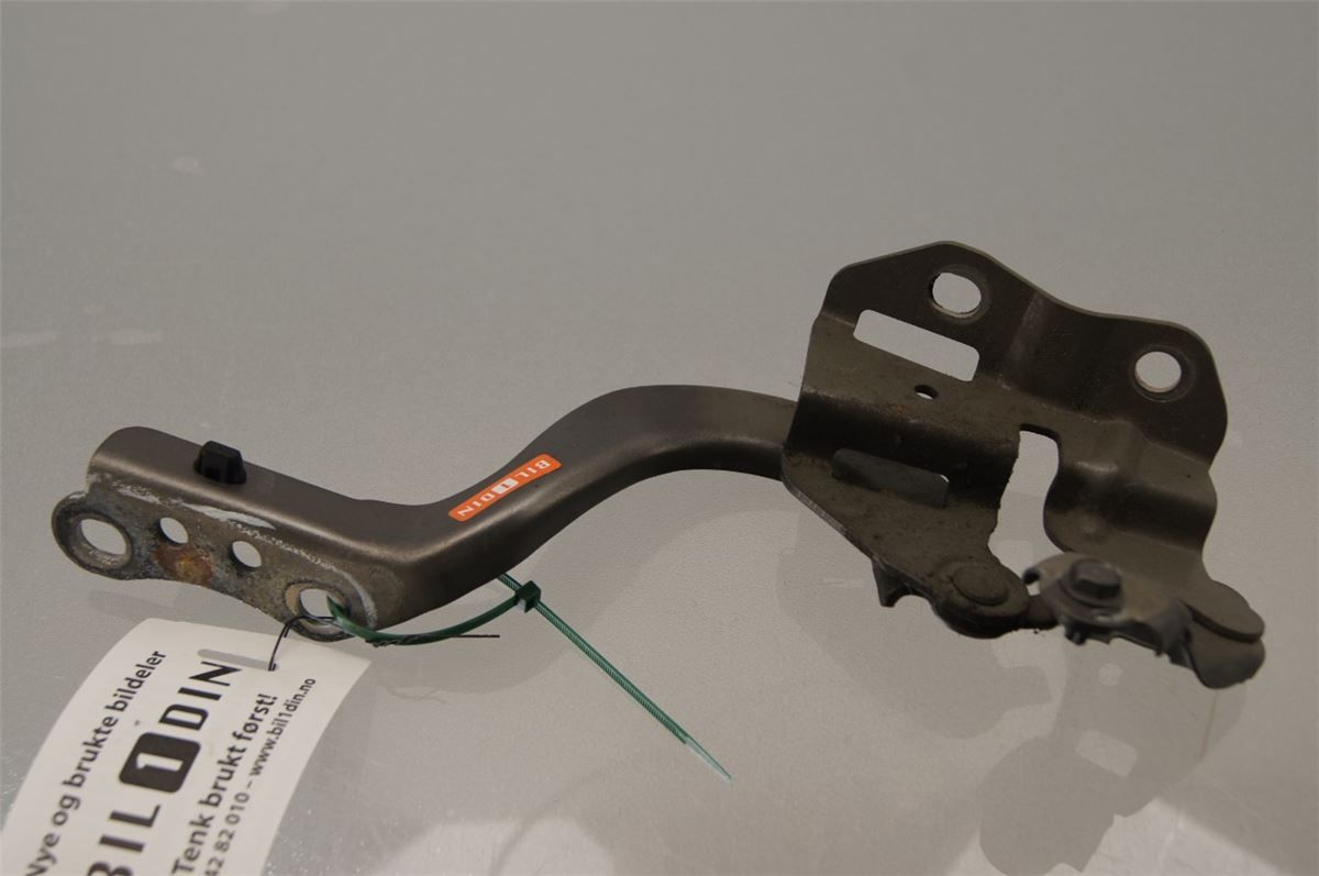 Panser Hengsel / Hengsler – bilde 1