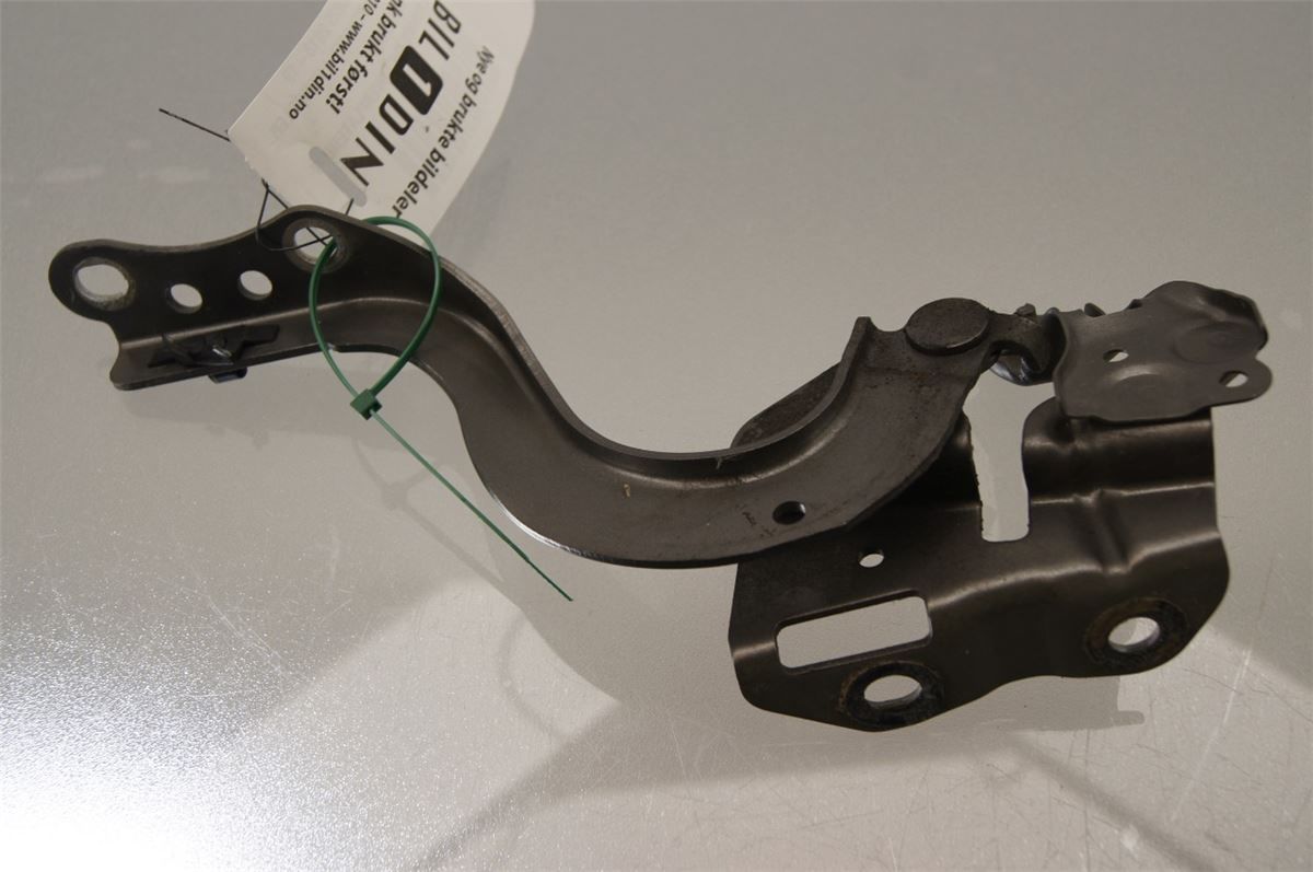 Panser Hengsel / Hengsler – bilde 3