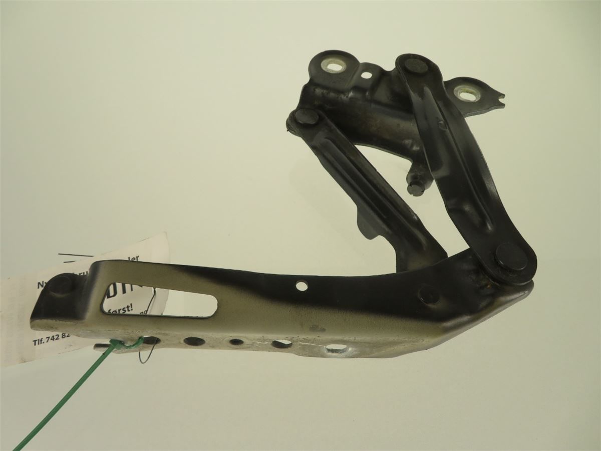 Panser Hengsel / Hengsler – bilde 1