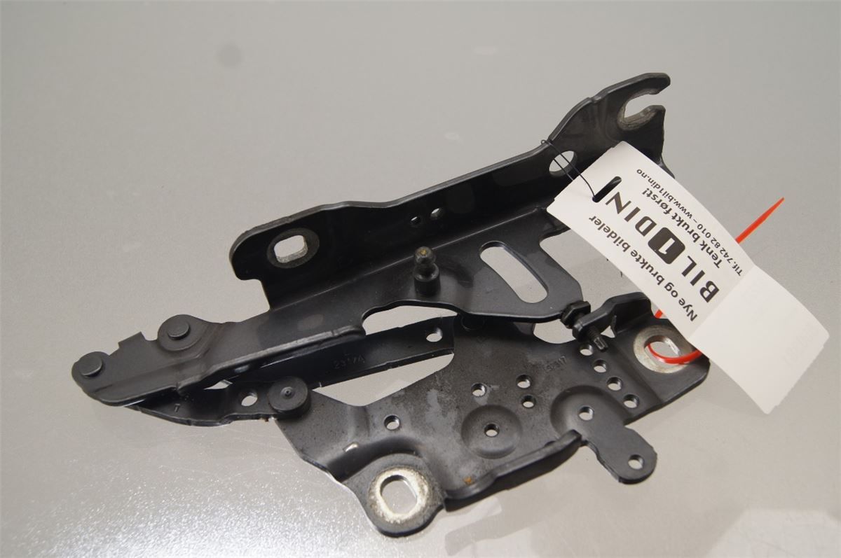 Panser Hengsel / Hengsler – bilde 1