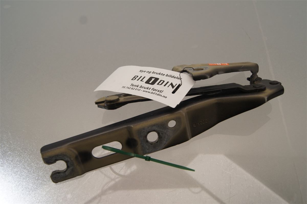 Panser Hengsel / Hengsler – bilde 1