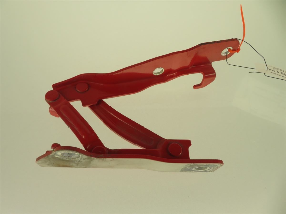 Panser Hengsel / Hengsler – bilde 2