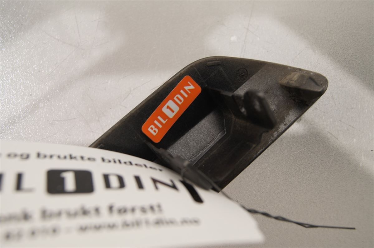 Spylerdyse Ruter – bilde 1