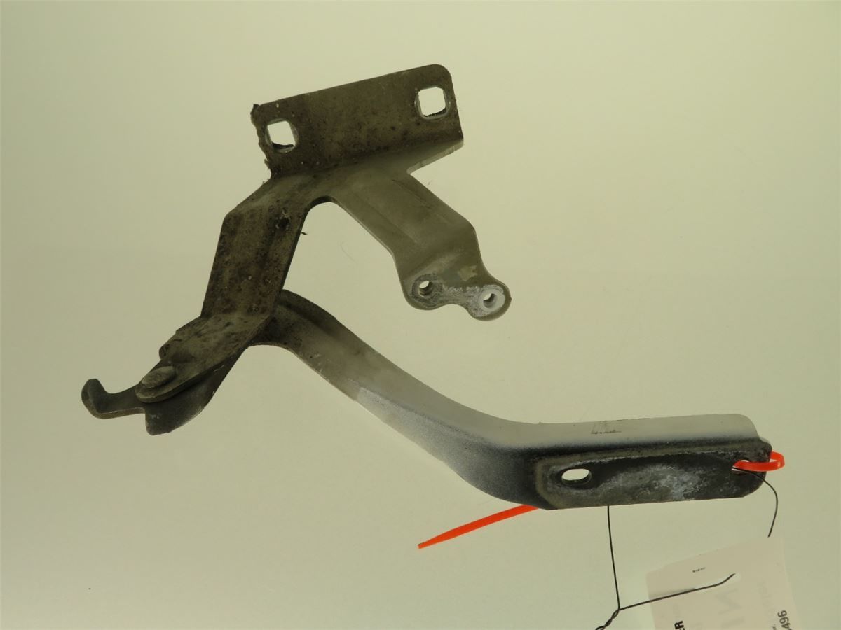 Panser Hengsel / Hengsler – bilde 1