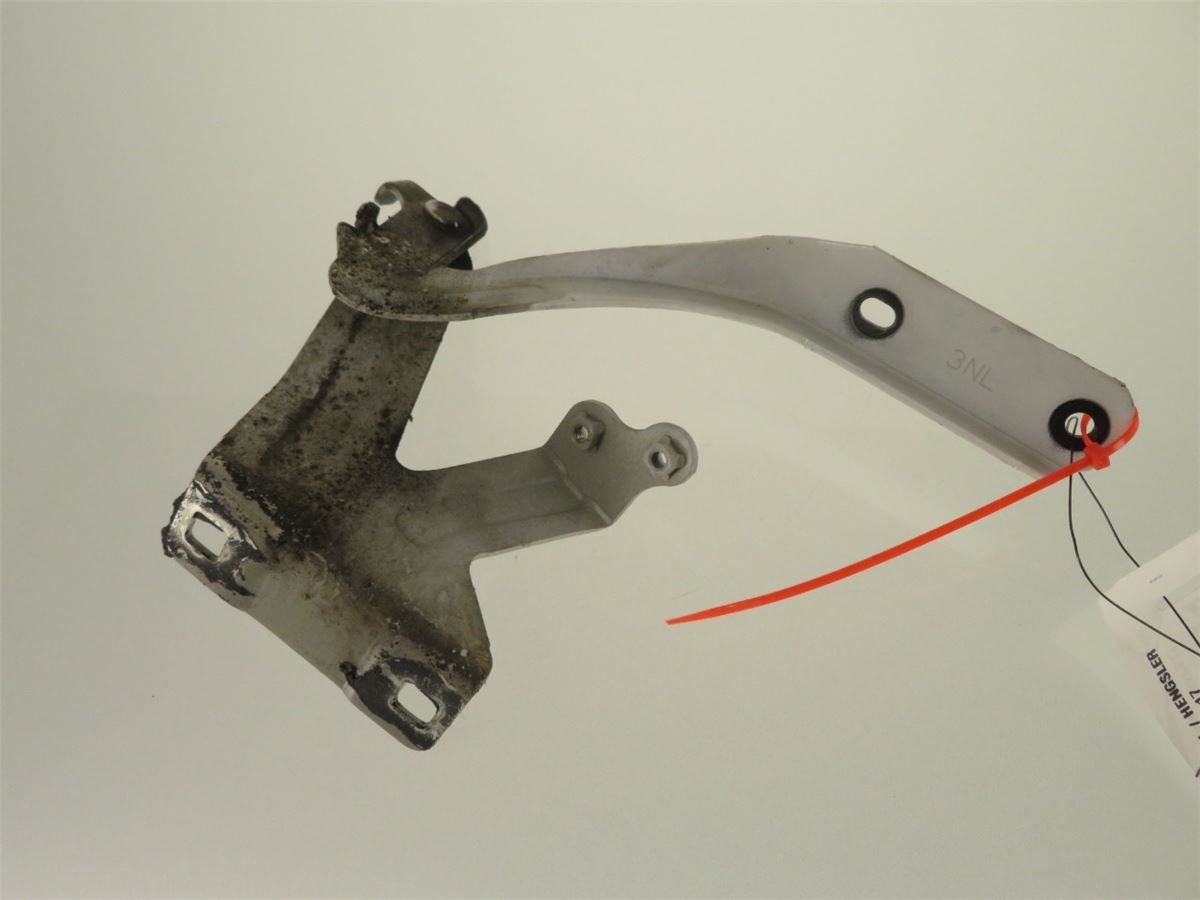 Panser Hengsel / Hengsler – bilde 2
