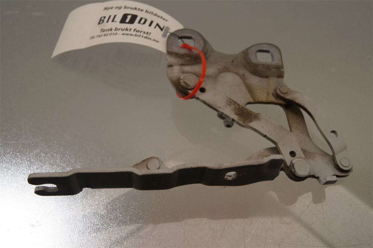 Panser Hengsel / Hengsler – bilde 1