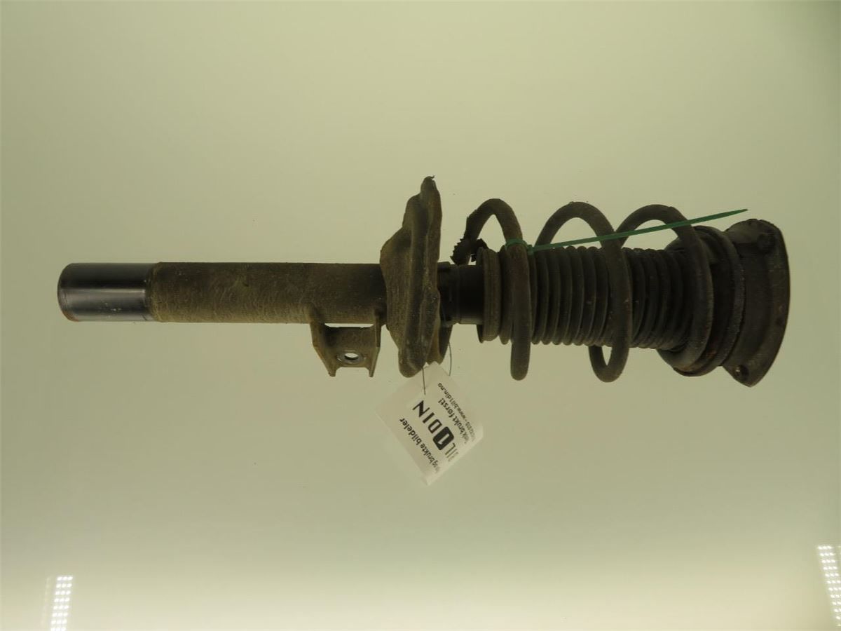 Fjærbein Foran Høyre – bilde 1