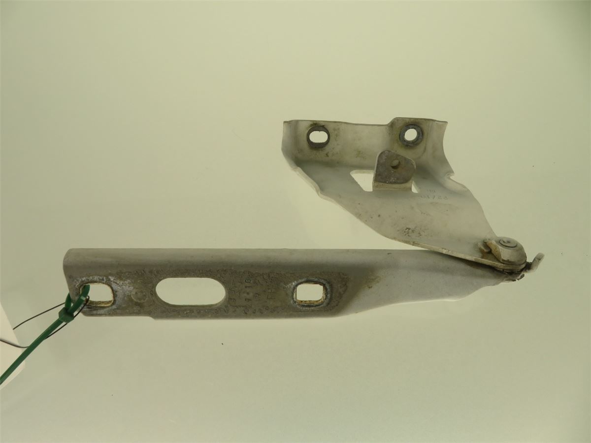 Panser Hengsel / Hengsler – bilde 3