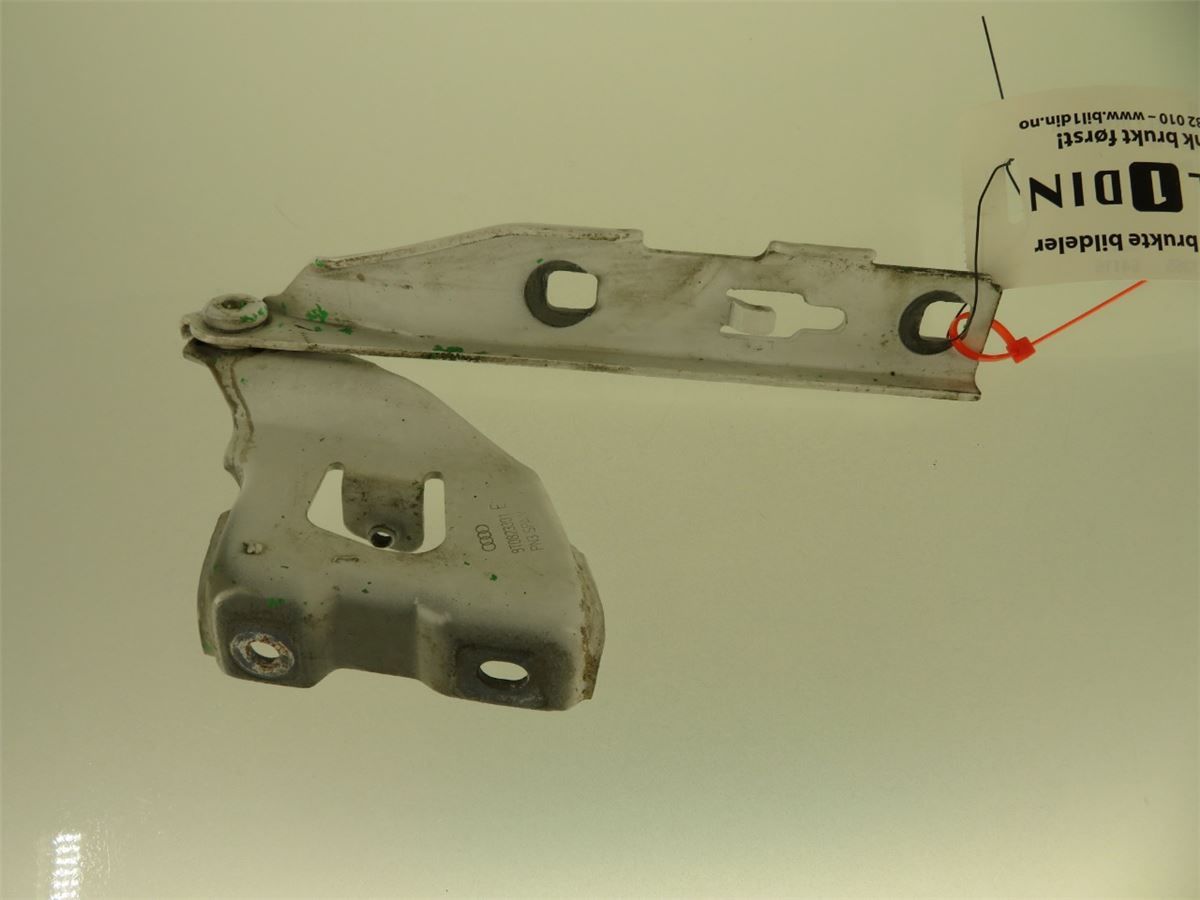 Panser Hengsel / Hengsler – bilde 1