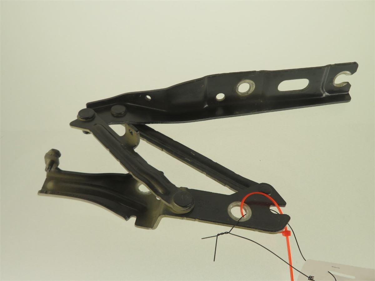 Panser Hengsel / Hengsler – bilde 2