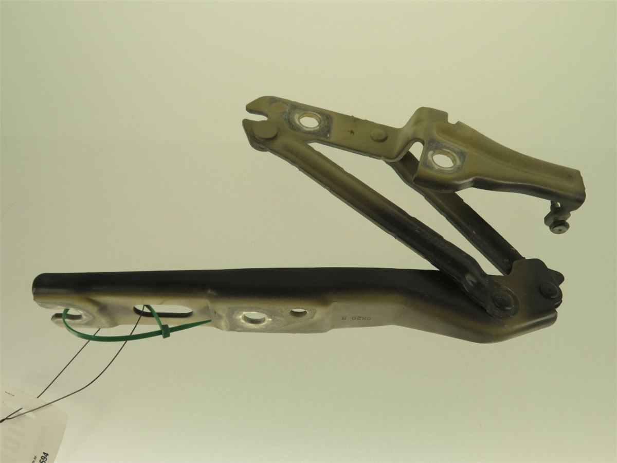 Panser Hengsel / Hengsler – bilde 2