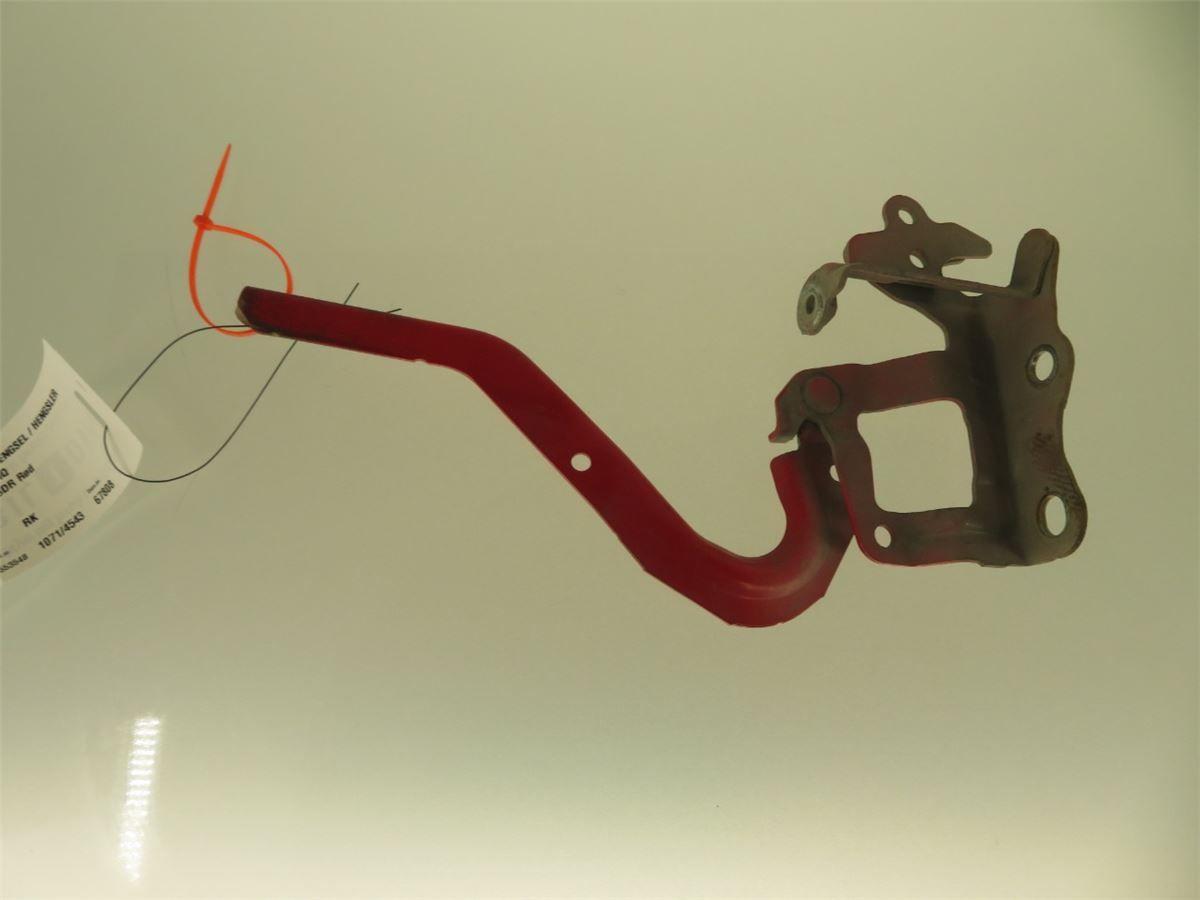 Panser Hengsel / Hengsler – bilde 1