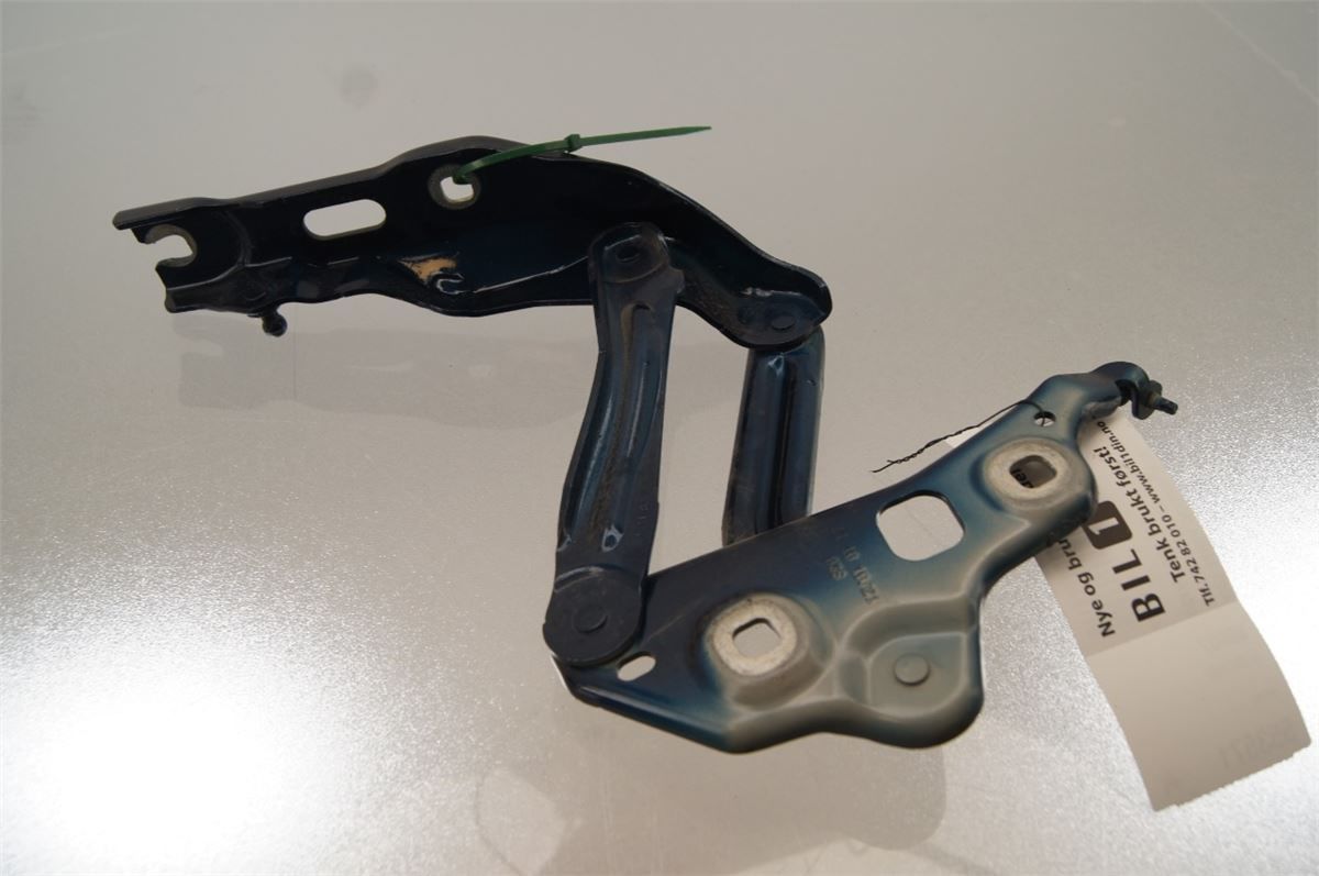 Panser Hengsel / Hengsler – bilde 3