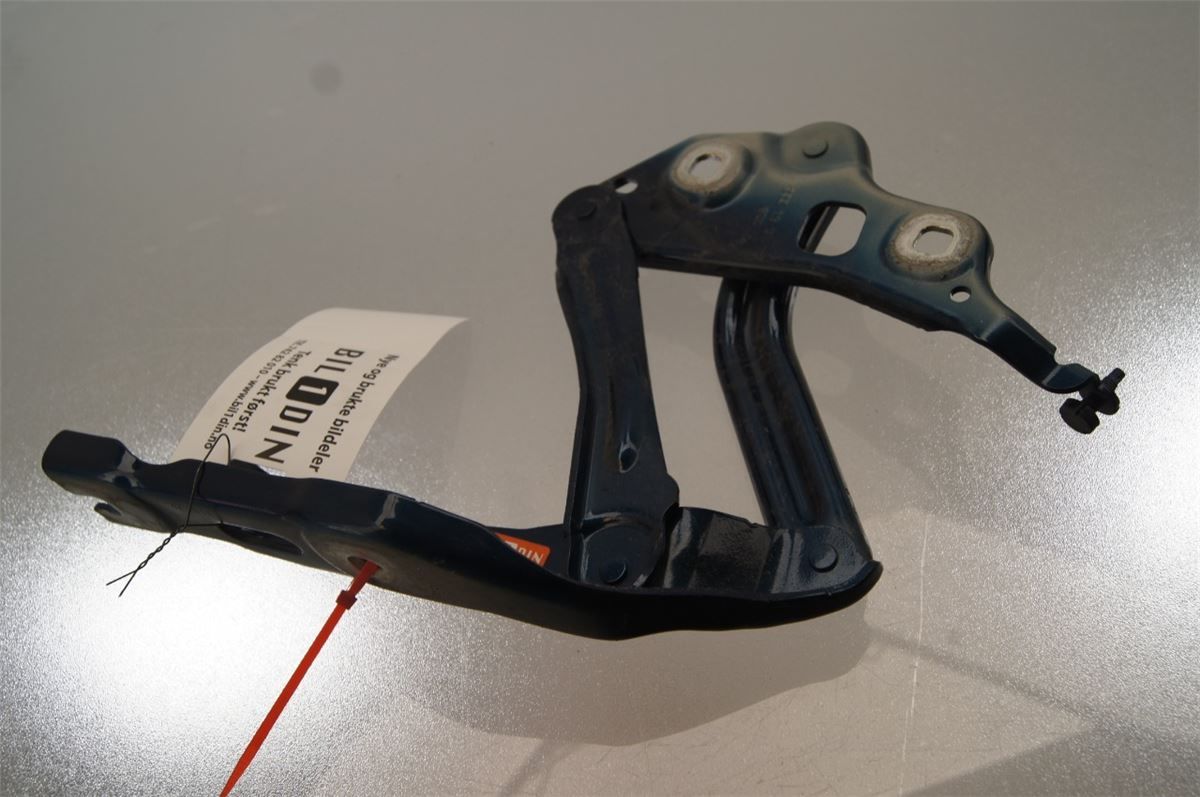 Panser Hengsel / Hengsler – bilde 1