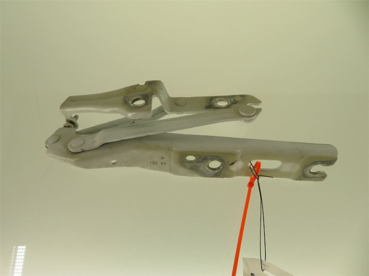 Panser Hengsel / Hengsler – bilde 1
