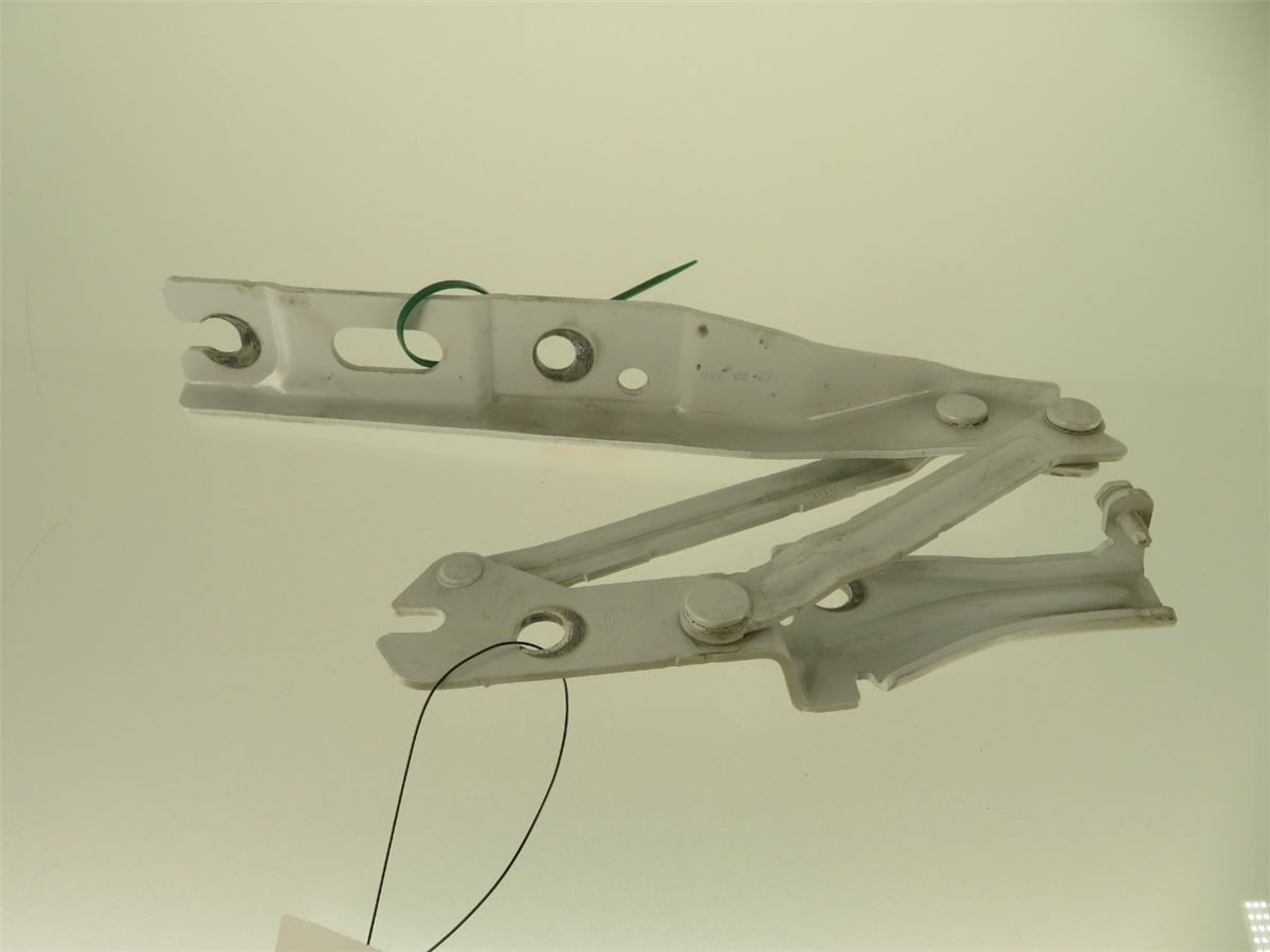 Panser Hengsel / Hengsler – bilde 2