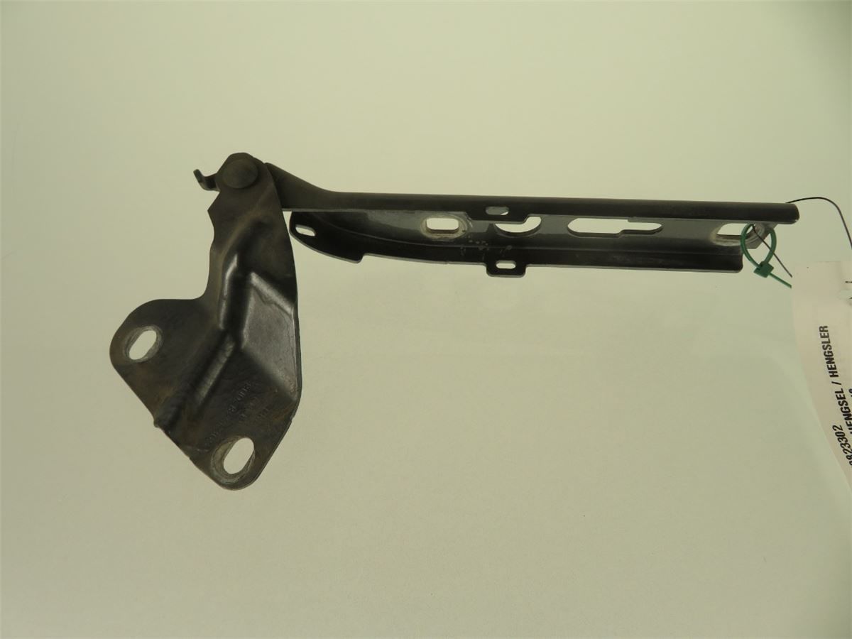 Panser Hengsel / Hengsler – bilde 1