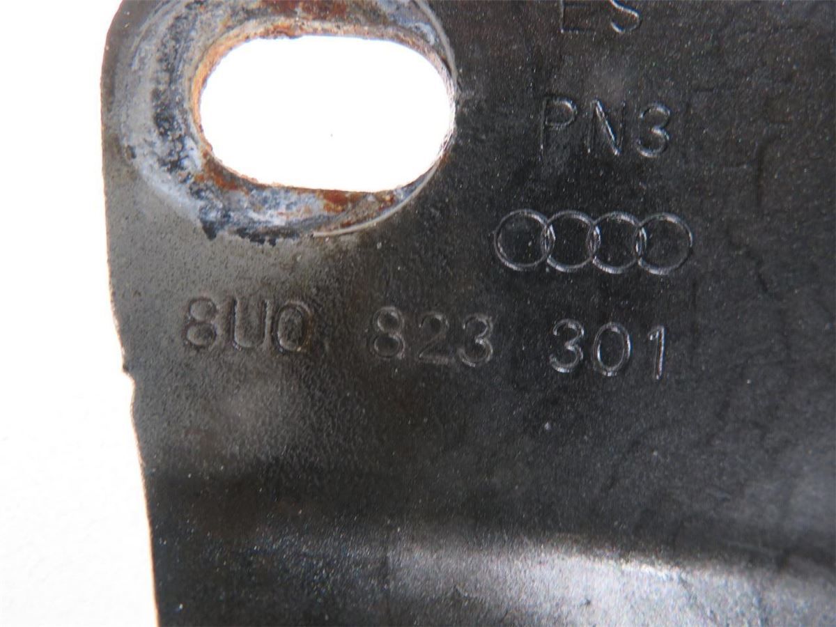 Panser Hengsel / Hengsler – bilde 2