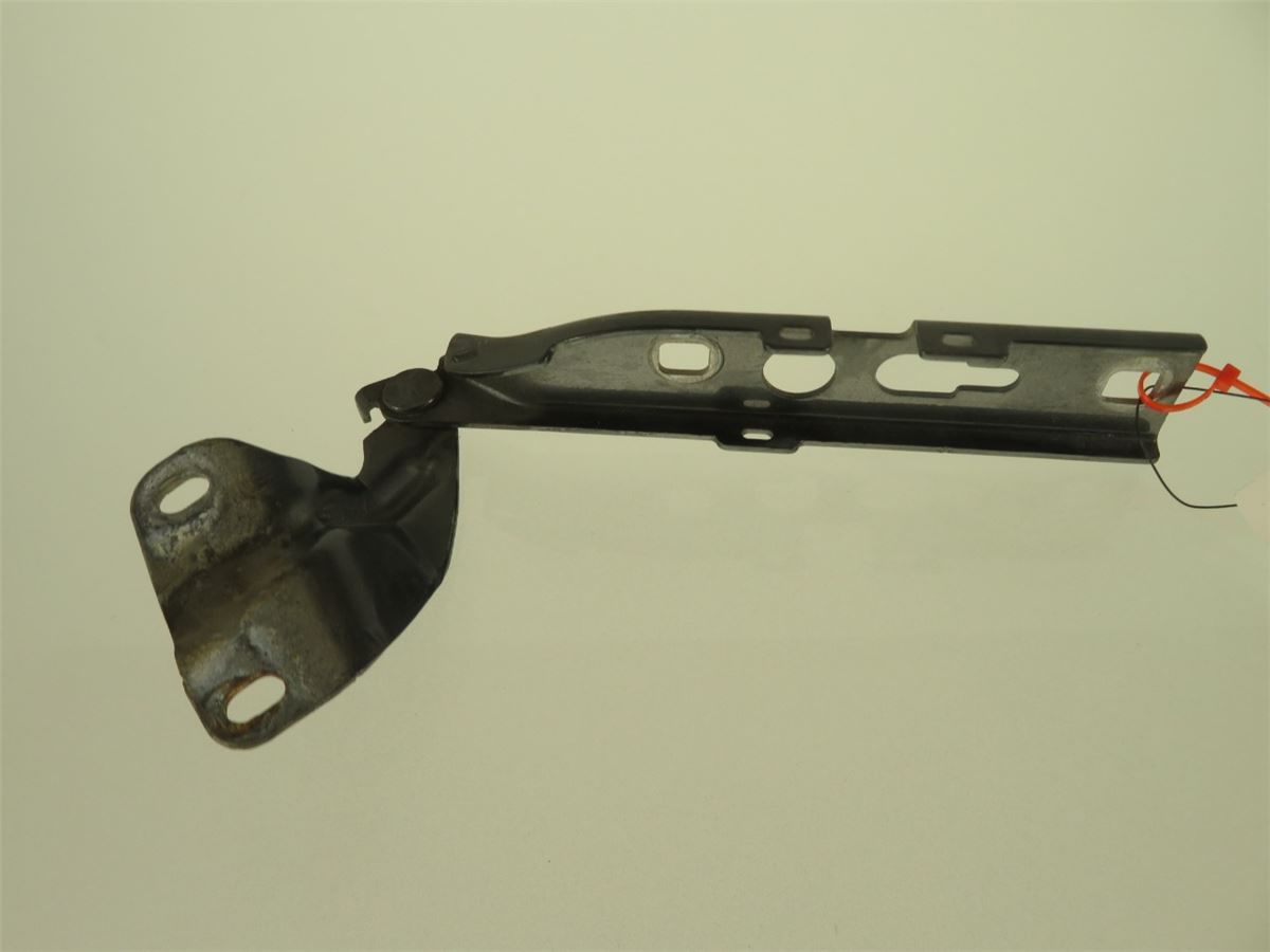 Panser Hengsel / Hengsler – bilde 3
