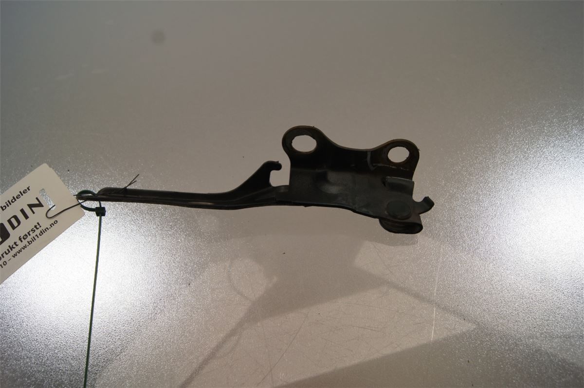 Panser Hengsel / Hengsler – bilde 1