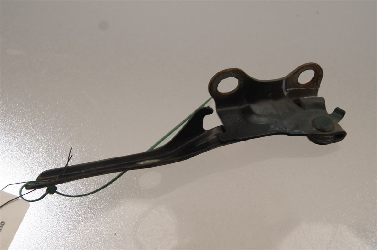 Panser Hengsel / Hengsler – bilde 3