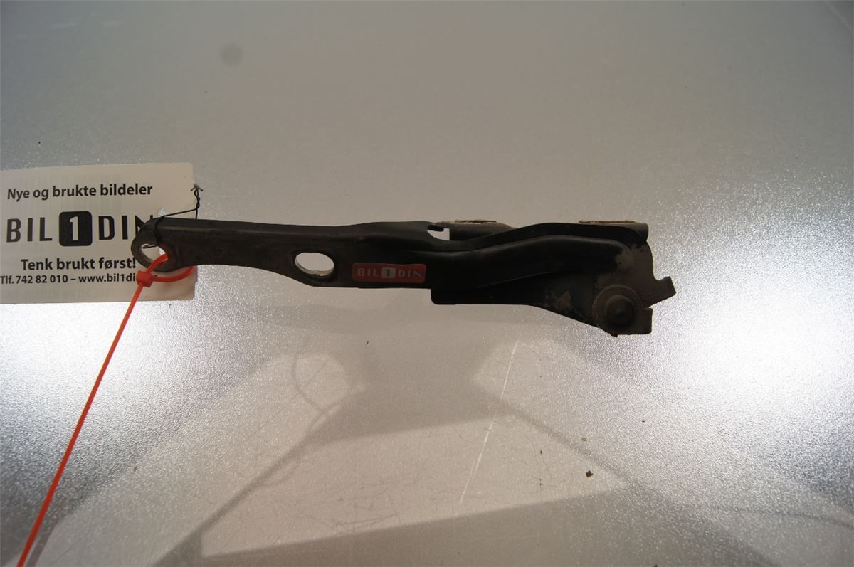 Panser Hengsel / Hengsler – bilde 1