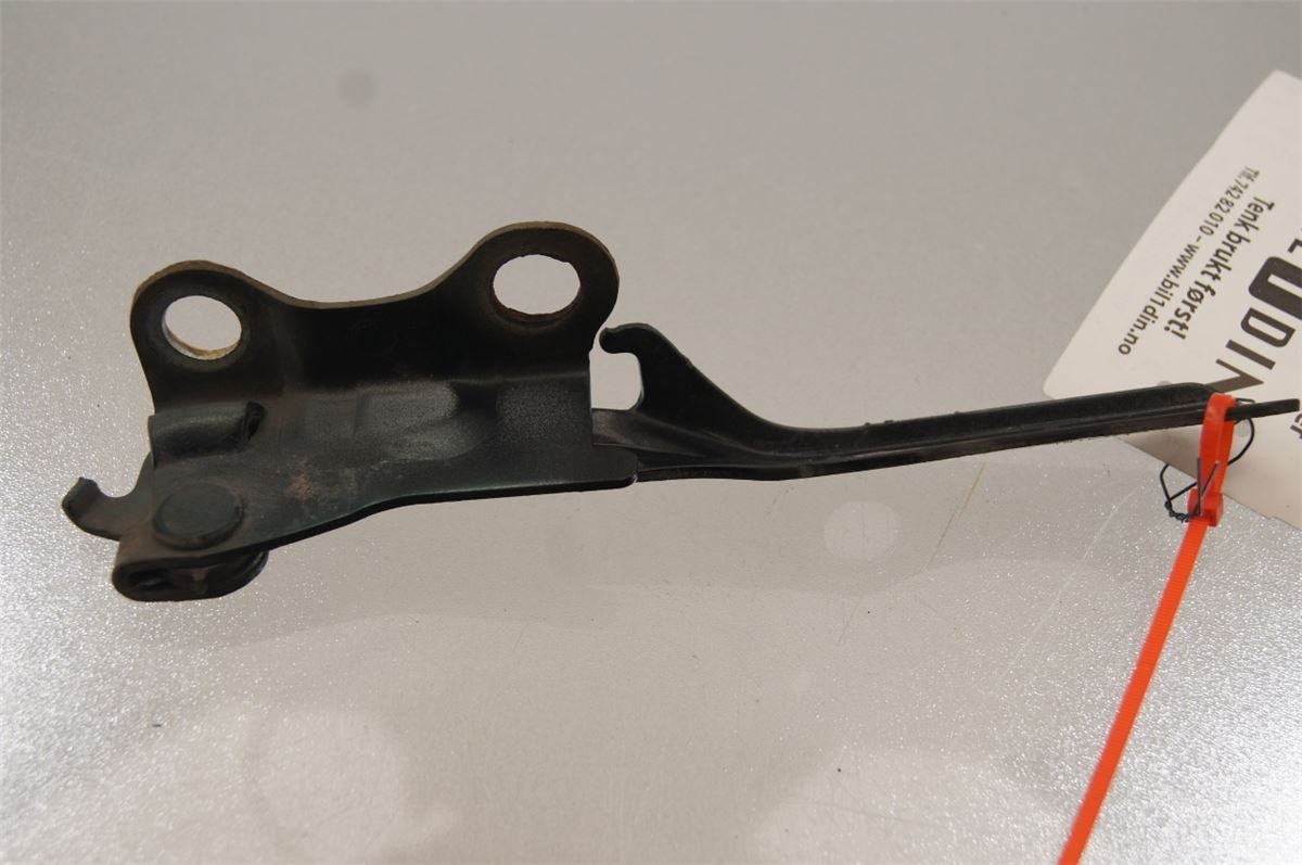 Panser Hengsel / Hengsler – bilde 3