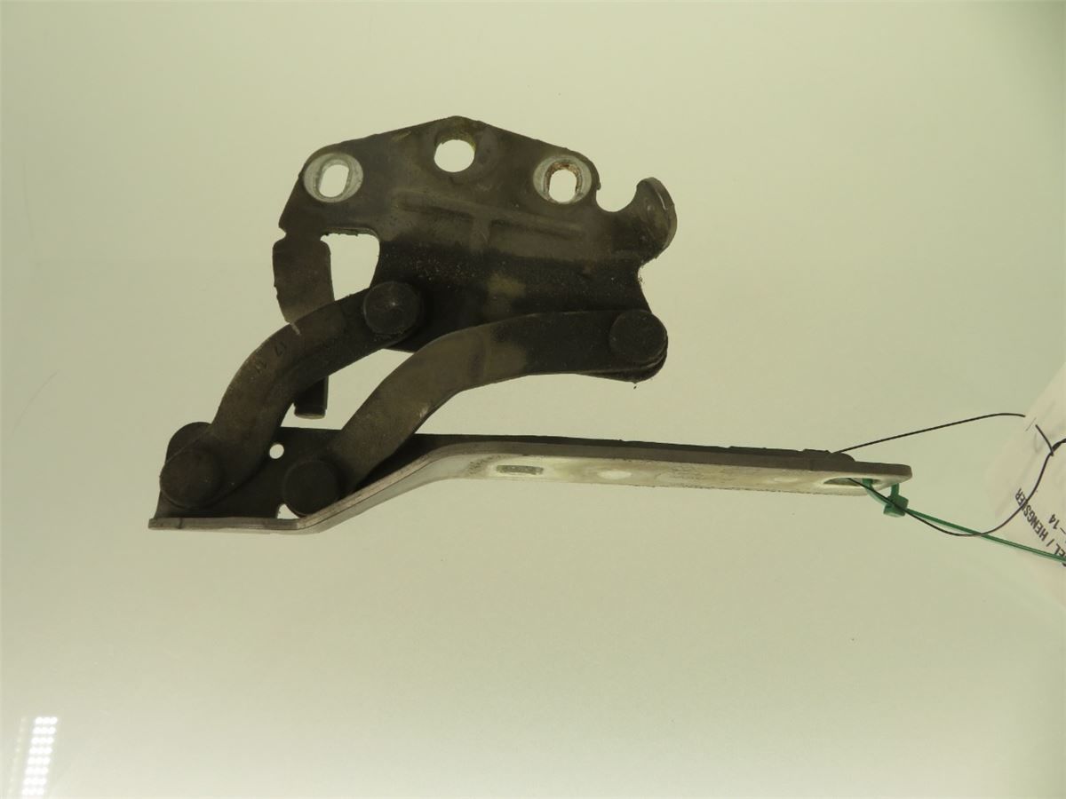 Panser Hengsel / Hengsler – bilde 1