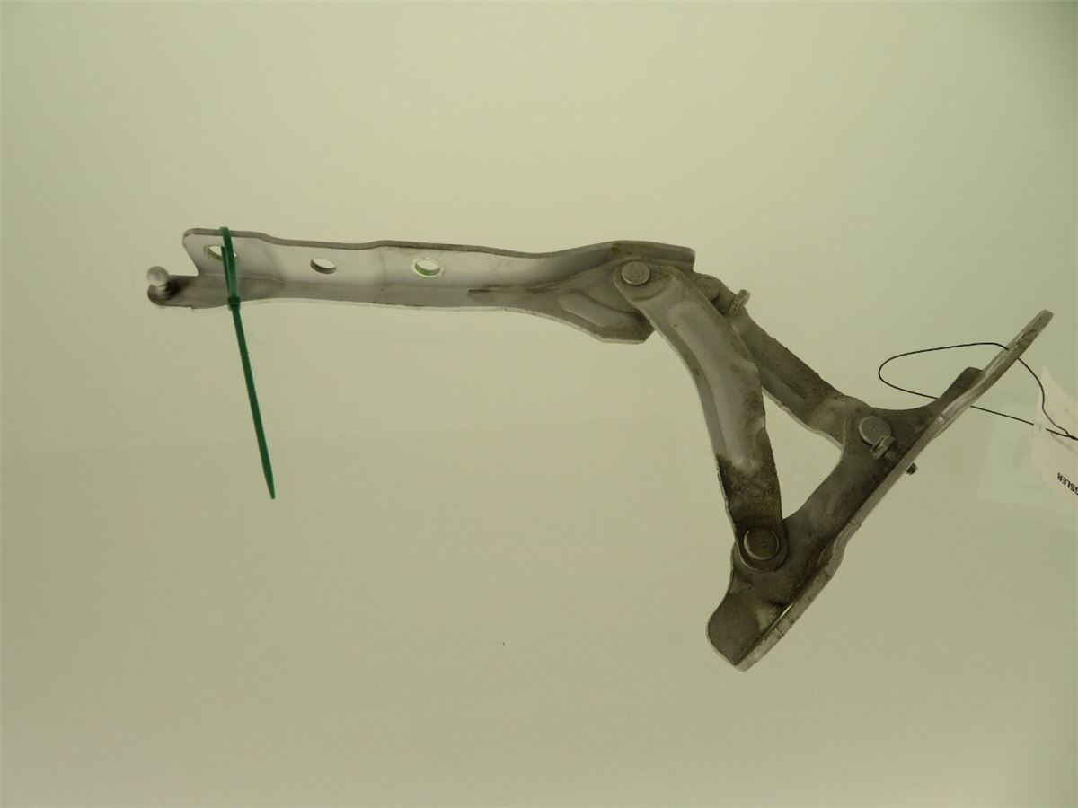 Panser Hengsel / Hengsler – bilde 2