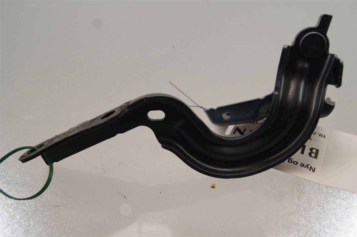 Panser Hengsel / Hengsler – bilde 2