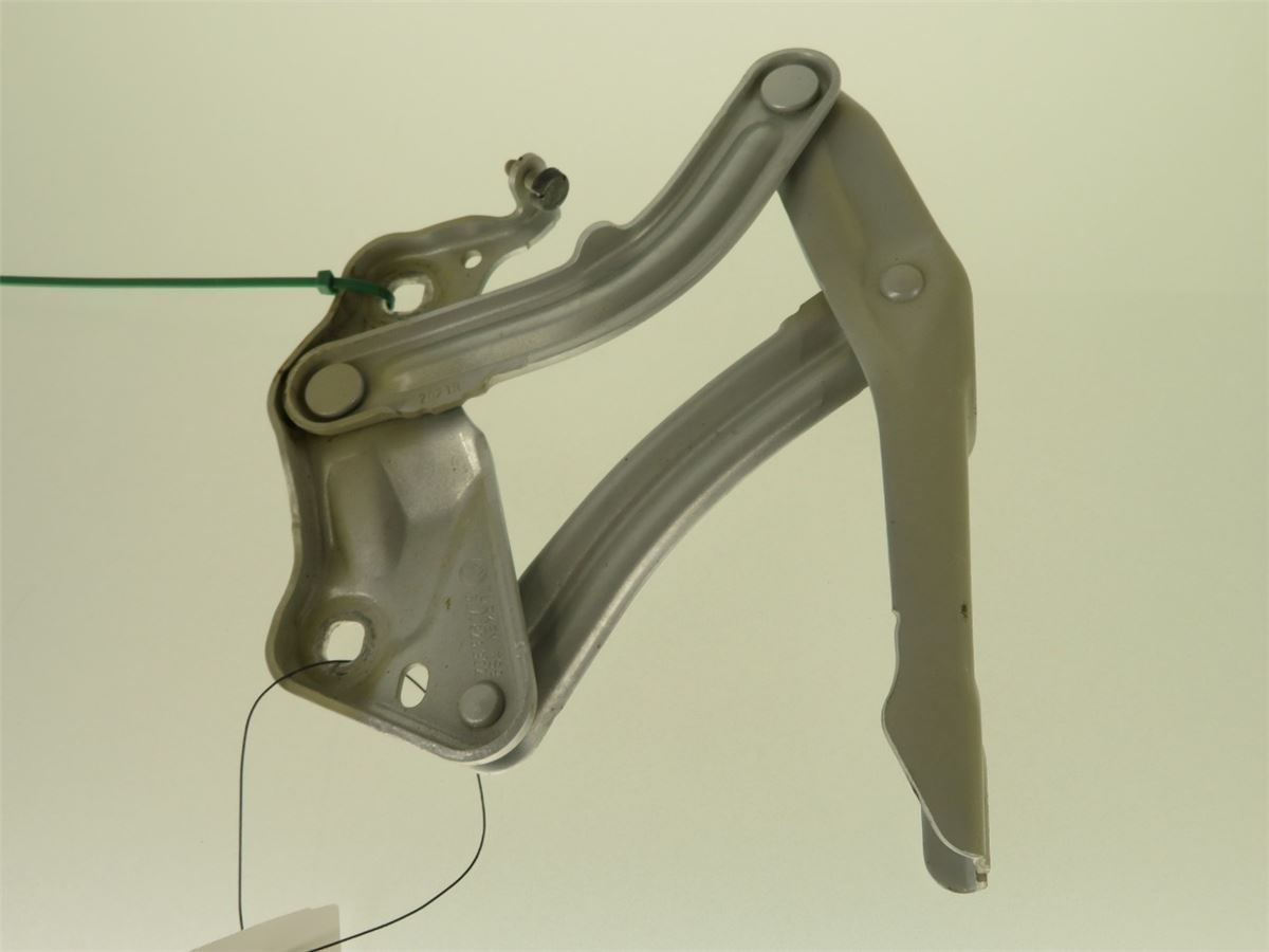Panser Hengsel / Hengsler – bilde 1
